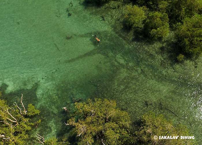 excursions and discoveries in Nosy Be Madagascar